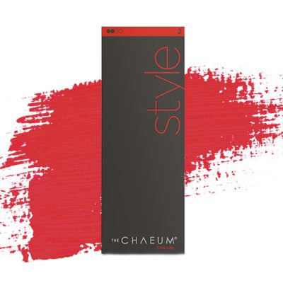 Chaeum Style